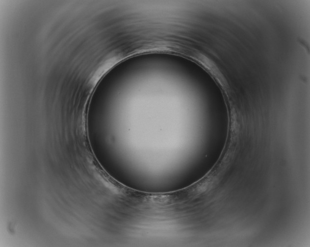 X0000103420858200809121305