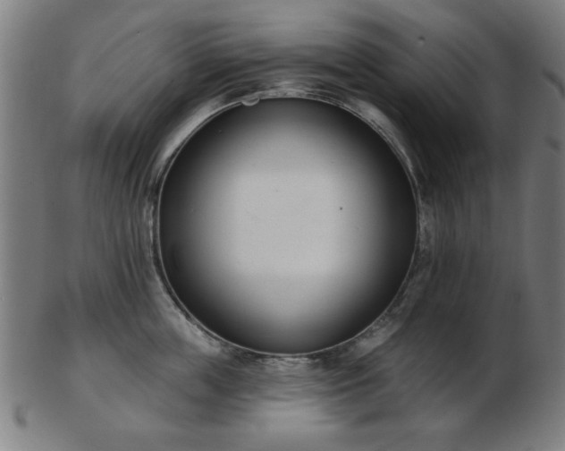 X0000103420859200809121305
