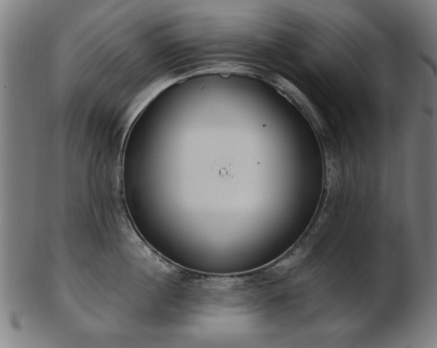 X0000103420860200809121305