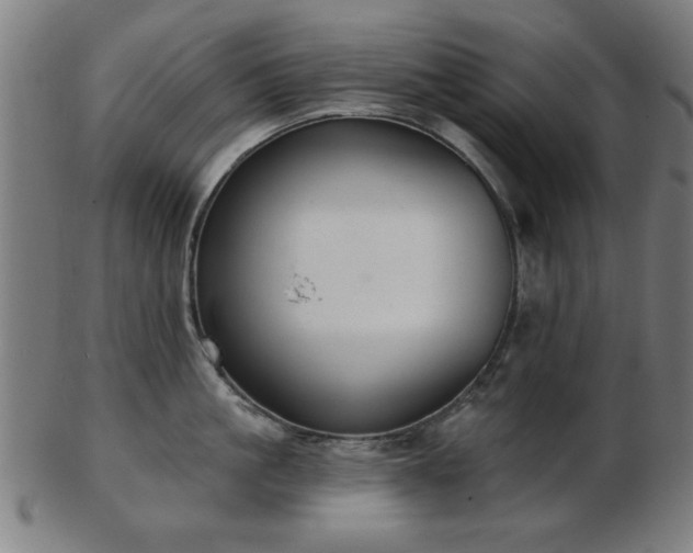 X0000103420861200809121305