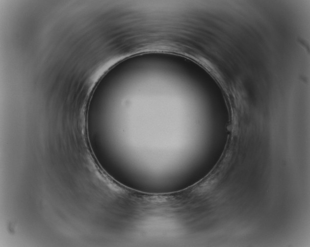 X0000103420862200809121305