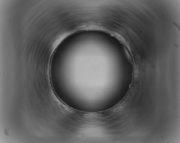 X0000103420863200809121305