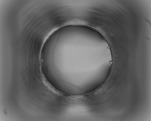X0000103420864200809121305