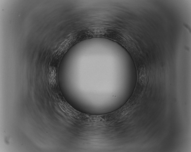 X0000103420866200809121305