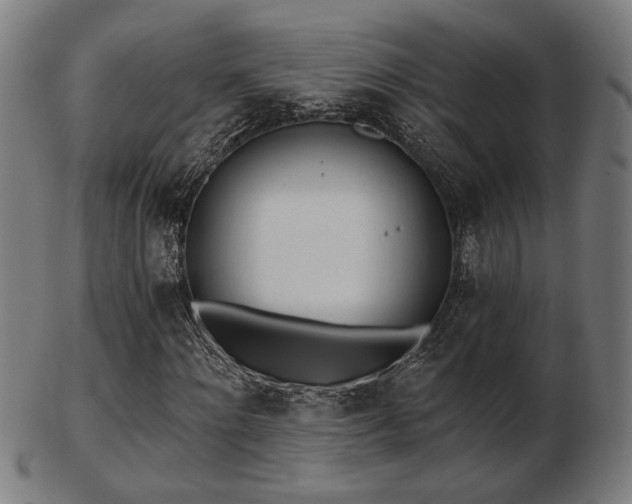 X0000103420868200809121305
