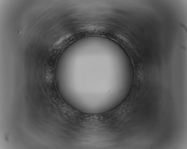 X0000103420869200809121305