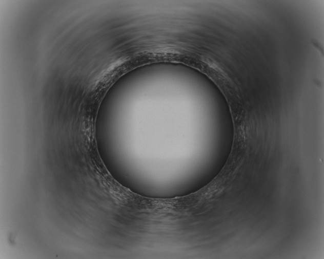 X0000103420870200809121305