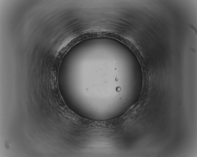 X0000103420871200809121305