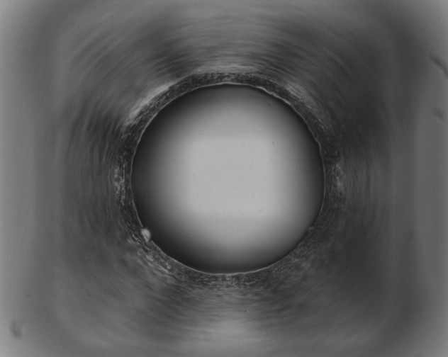 X0000103420872200809121305