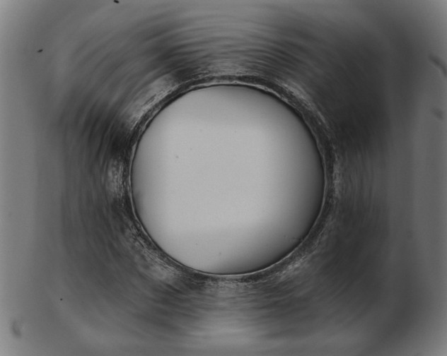 X0000103420873200809121305