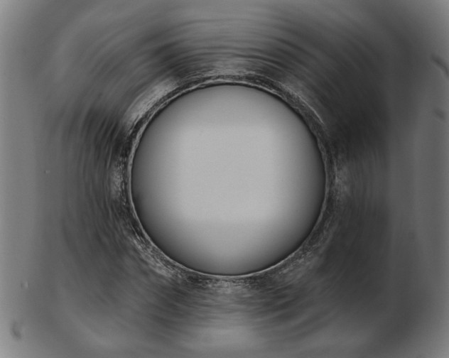 X0000103420874200809121305
