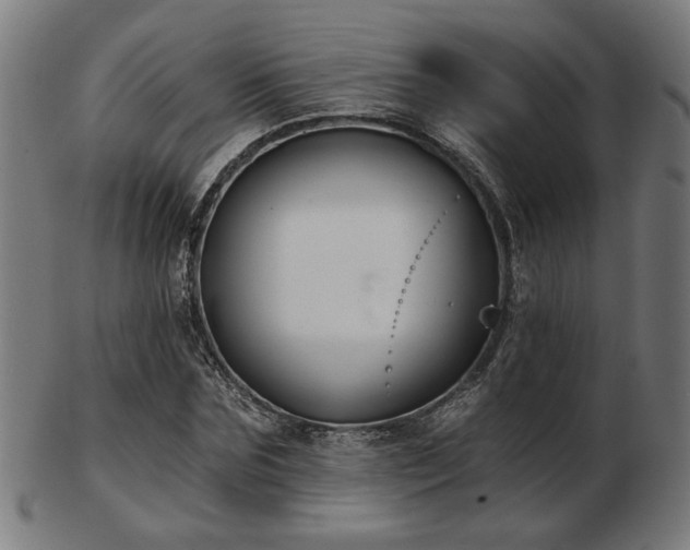 X0000103420875200809121305