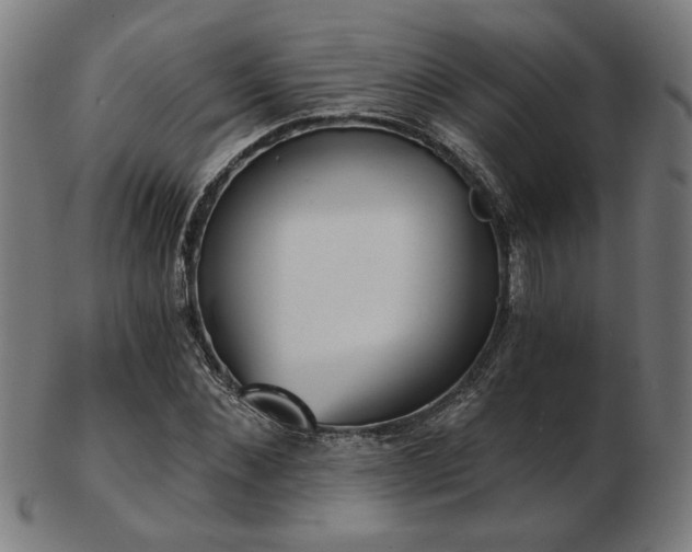 X0000103420876200809121305