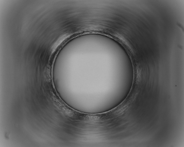 X0000103420878200809121305