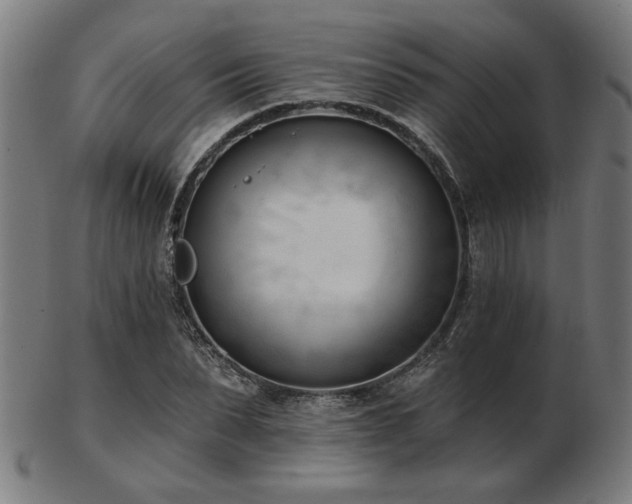 X0000103420879200809121305