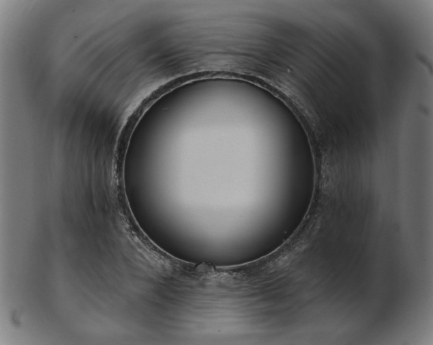 X0000103420880200809121305