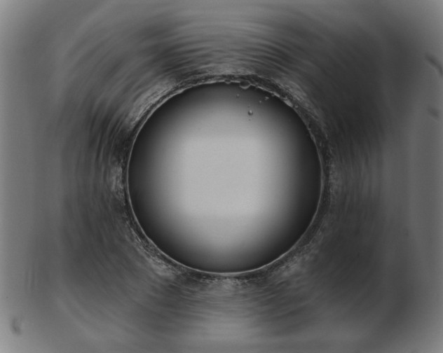 X0000103420881200809121305