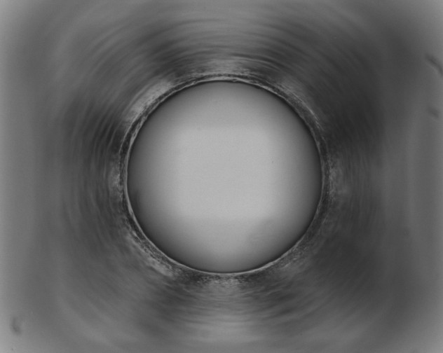 X0000103420882200809121305