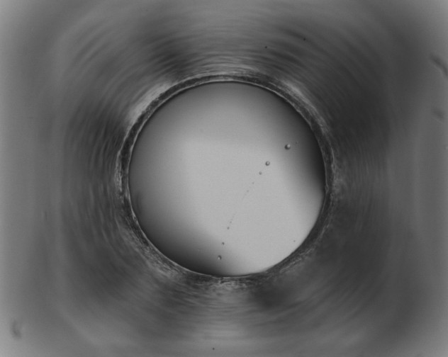X0000103420883200809121305