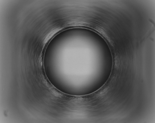 X0000103420885200809121305