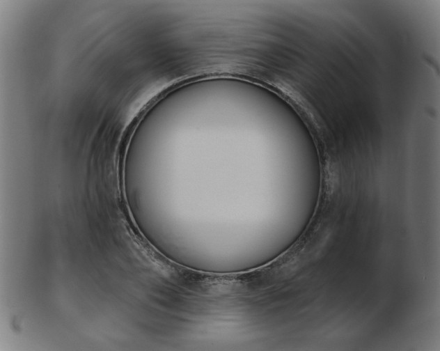X0000103420886200809121304