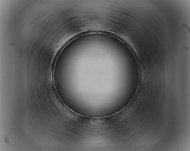 X0000103420887200809121304