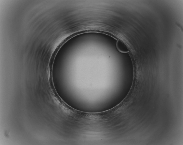 X0000103420888200809121304