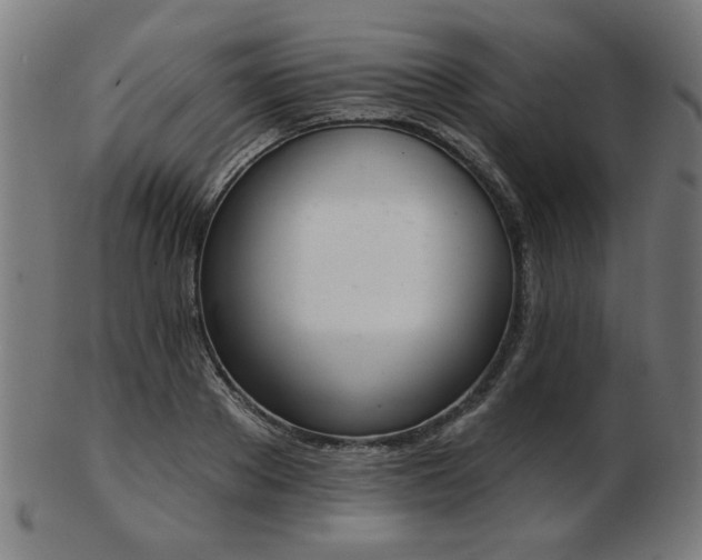 X0000103420889200809121304