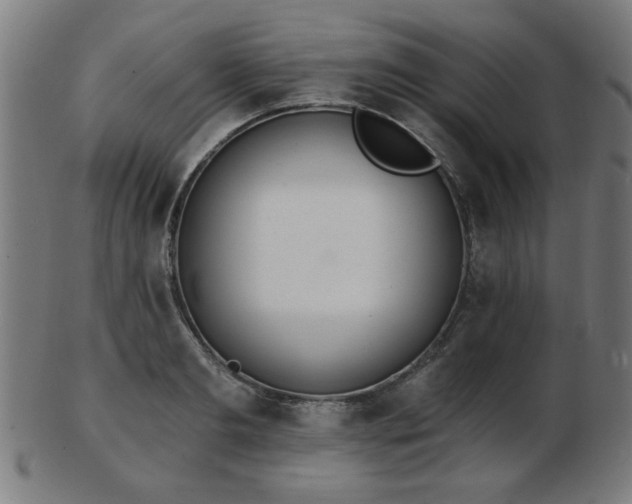 X0000103420893200809121304