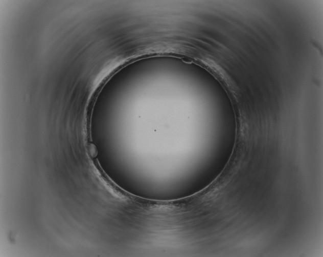 X0000103420894200809121304