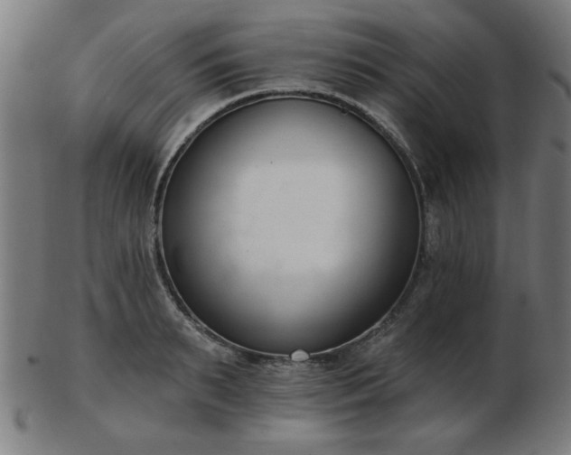 X0000103420895200809121304