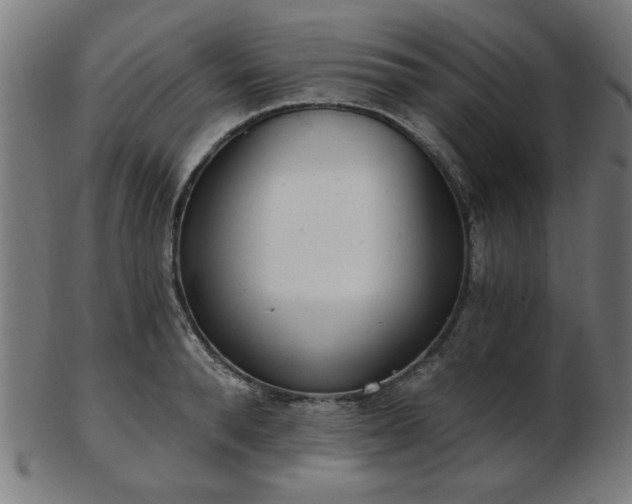 X0000103420896200809121304