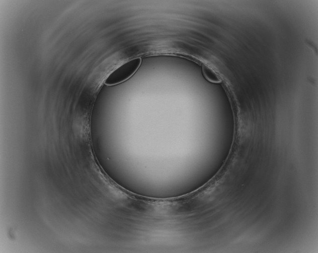 X0000103420897200809121304