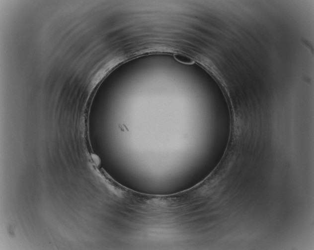 X0000103420898200809121304