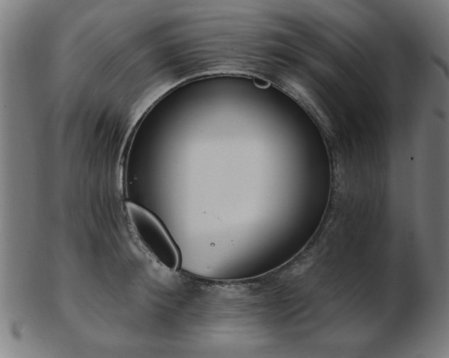 X0000103420900200809121304