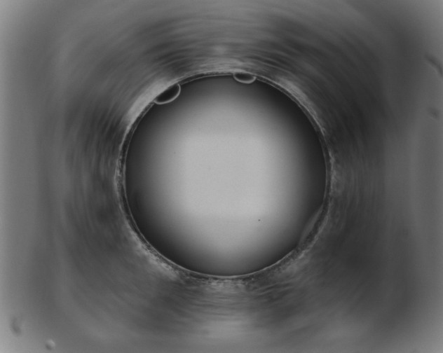 X0000103420901200809121304