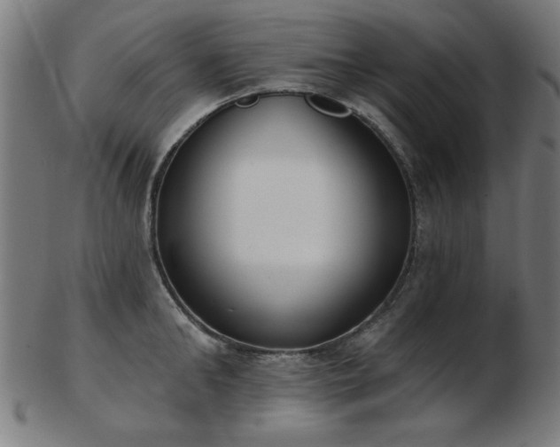 X0000103420902200809121304
