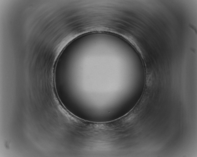 X0000103420903200809121304