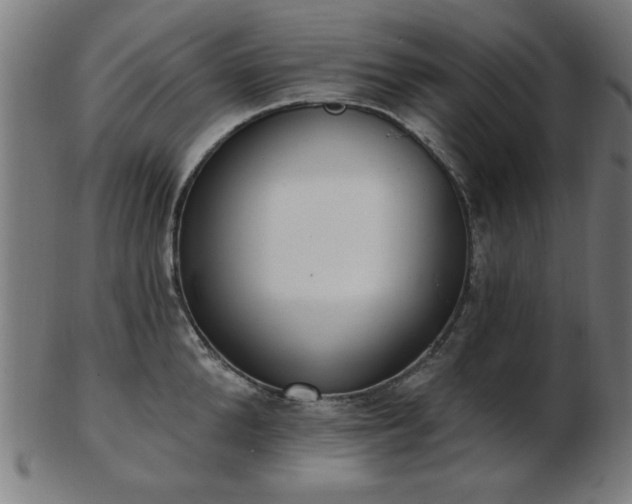 X0000103420904200809121304