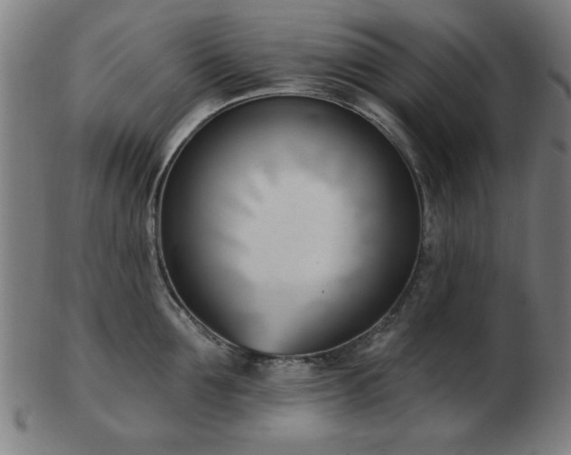 X0000103420907200809121304