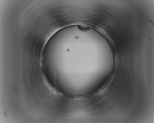 X0000103420908200809121304