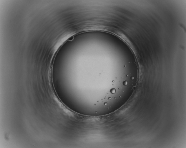 X0000103420909200809121304