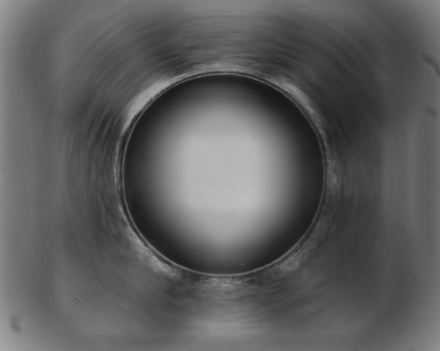 X0000103420910200809121304