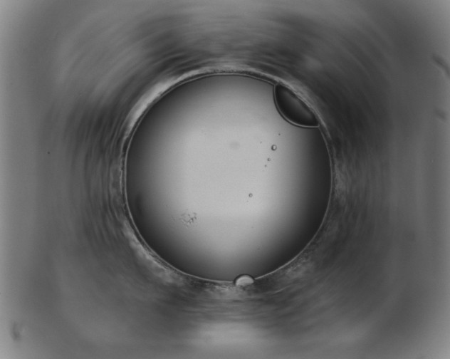 X0000103420911200809121304