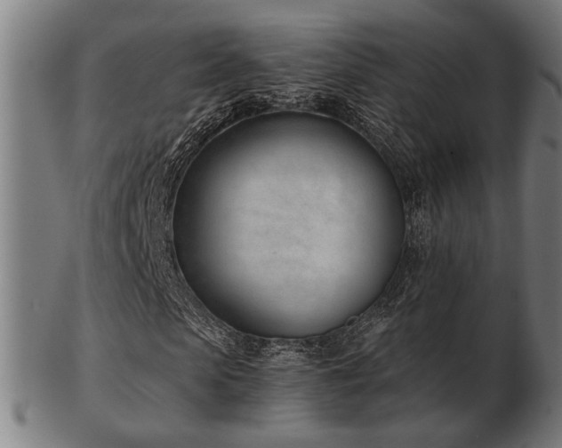 X0000103420913200809121303