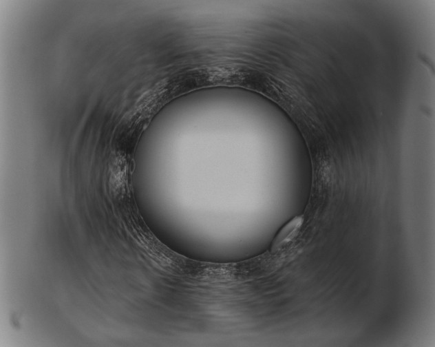 X0000103420914200809121303