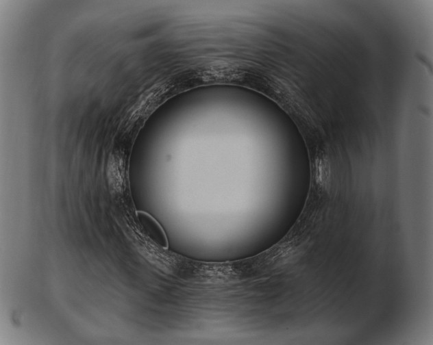 X0000103420915200809121303
