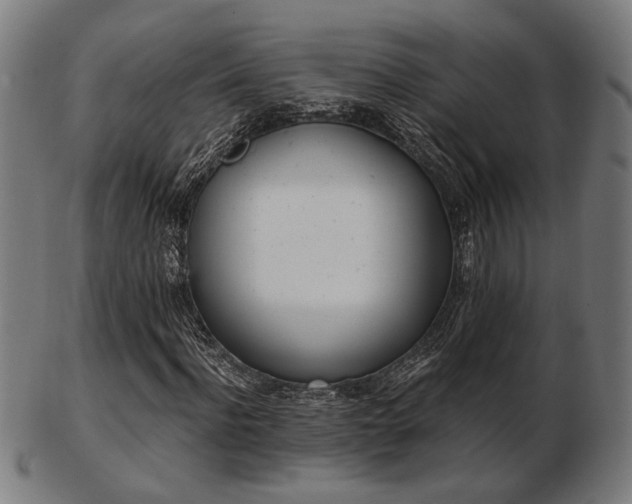 X0000103420916200809121303