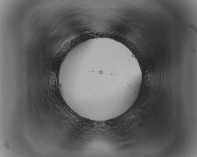 X0000103420918200809121303