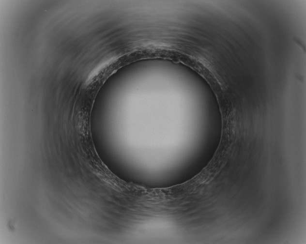 X0000103420919200809121303